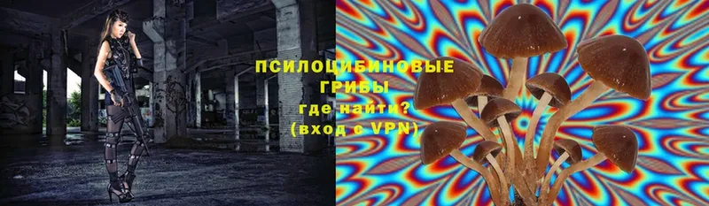 Псилоцибиновые грибы прущие грибы  купить  цена  Ряжск 